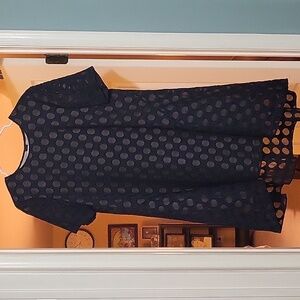 Donna Morgan Navy Blue swing dress with sheer polka dots and nude lining